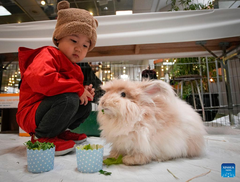 In Pics: Pet Lover Show in Vancouver, Canada