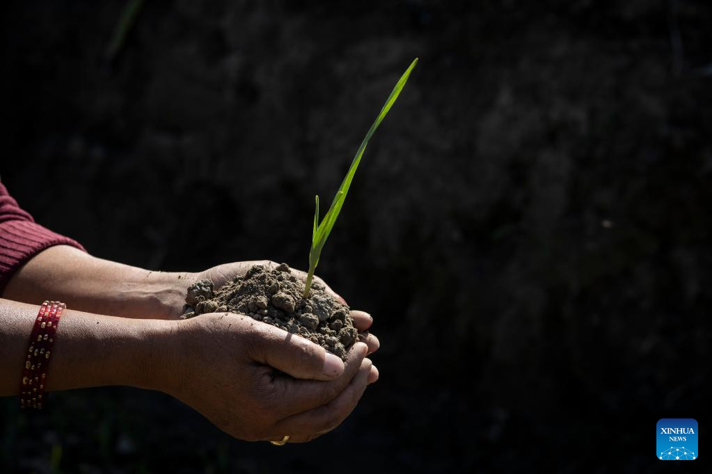 World Soil Day marked in Lalitpur, Nepal