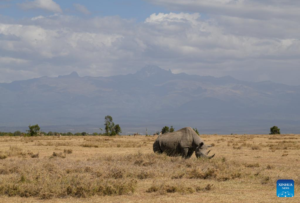 In Pics: Wild animals in Kenya