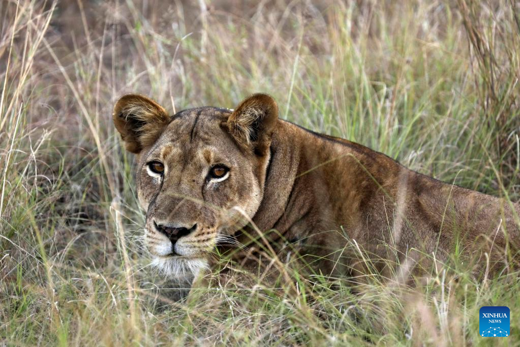 Queen Elizabeth National Park in Uganda