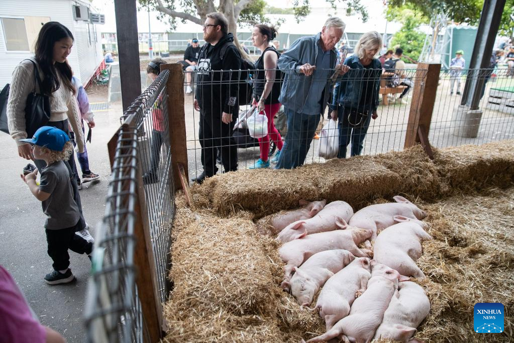 Highlights of Sydney Royal Easter Show