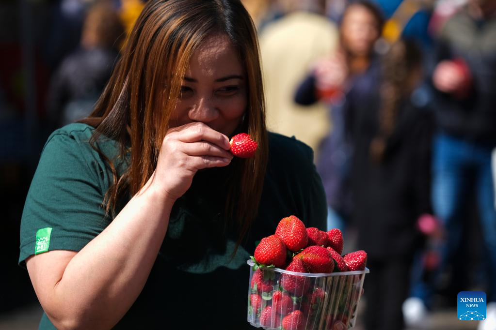 Strawberry festival held in Mgarr, Malta