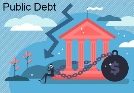 Public debt surpasses Rs 217.3 billion