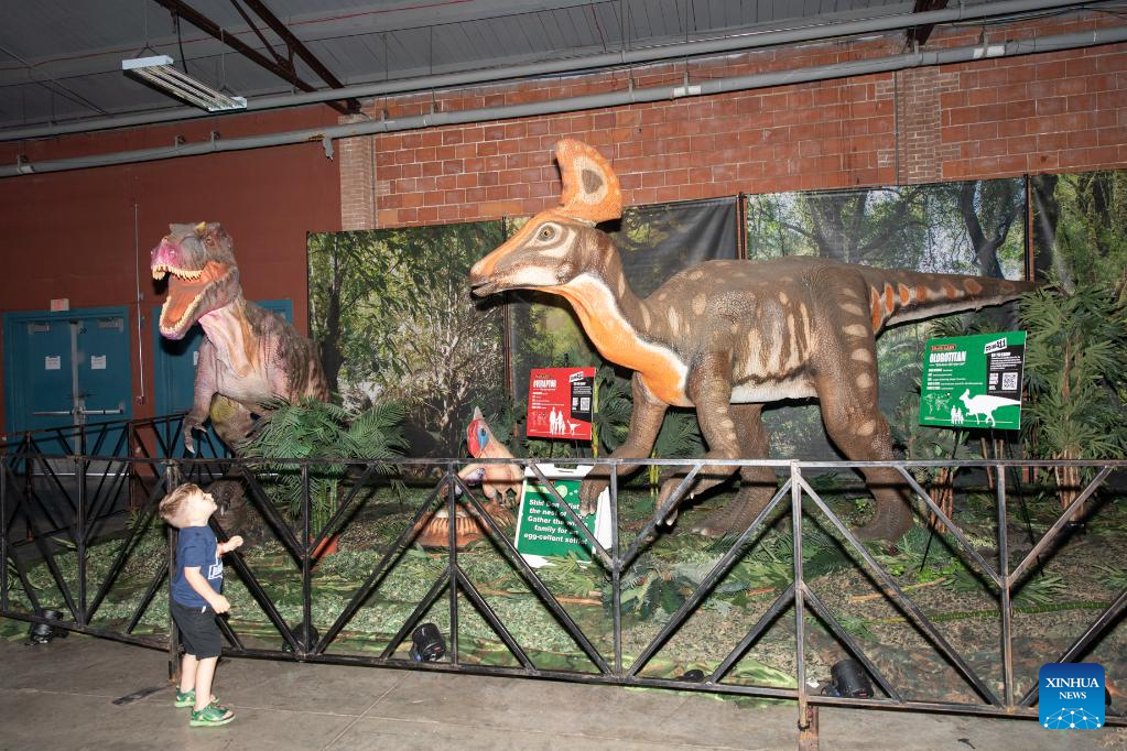 Jurassic Quest exhibition held in Texas, U.S.