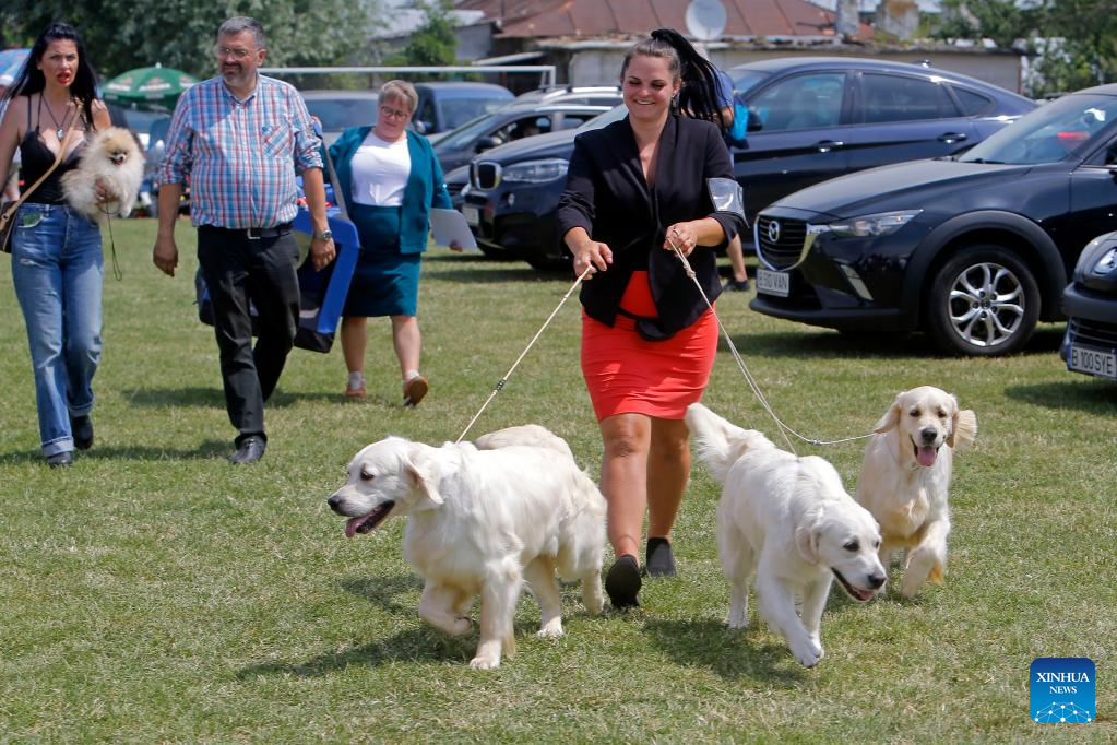 Int’l Canine Beauty Show held in Romania