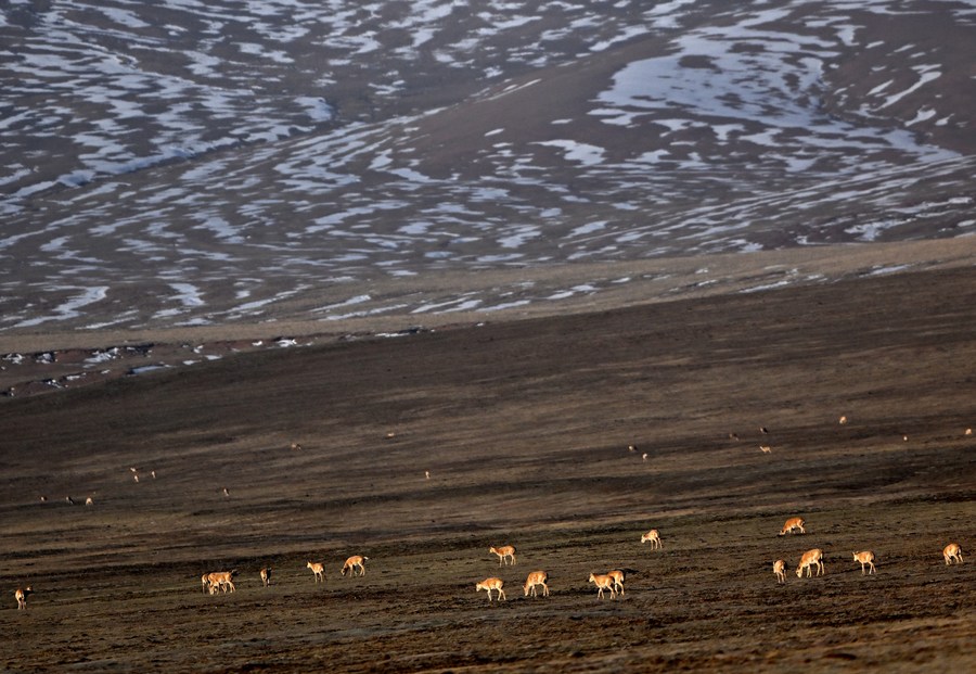 China to establish new batch of national parks