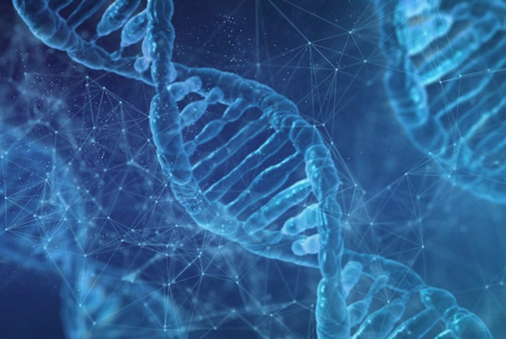 Chinese Scientists Create DNA-Based Programmable Computer