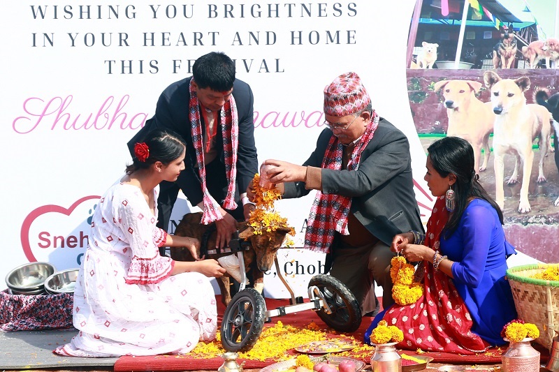 Kukur tihar celebration at Sneha’s care