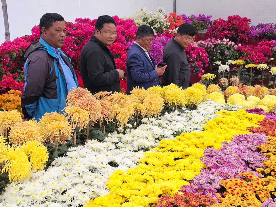 The Godawari flower exhibition started in Jawalakhel