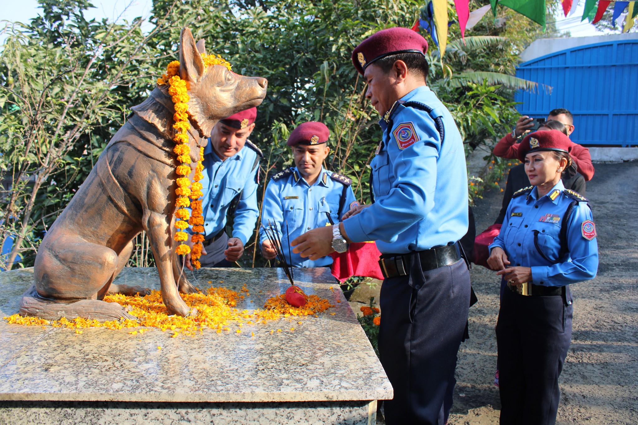 Awarding medals to the dogs in various categories