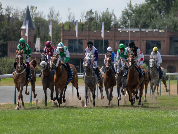 Belgium to host UAE President’s Cup World series for Purebred Arabian Horses