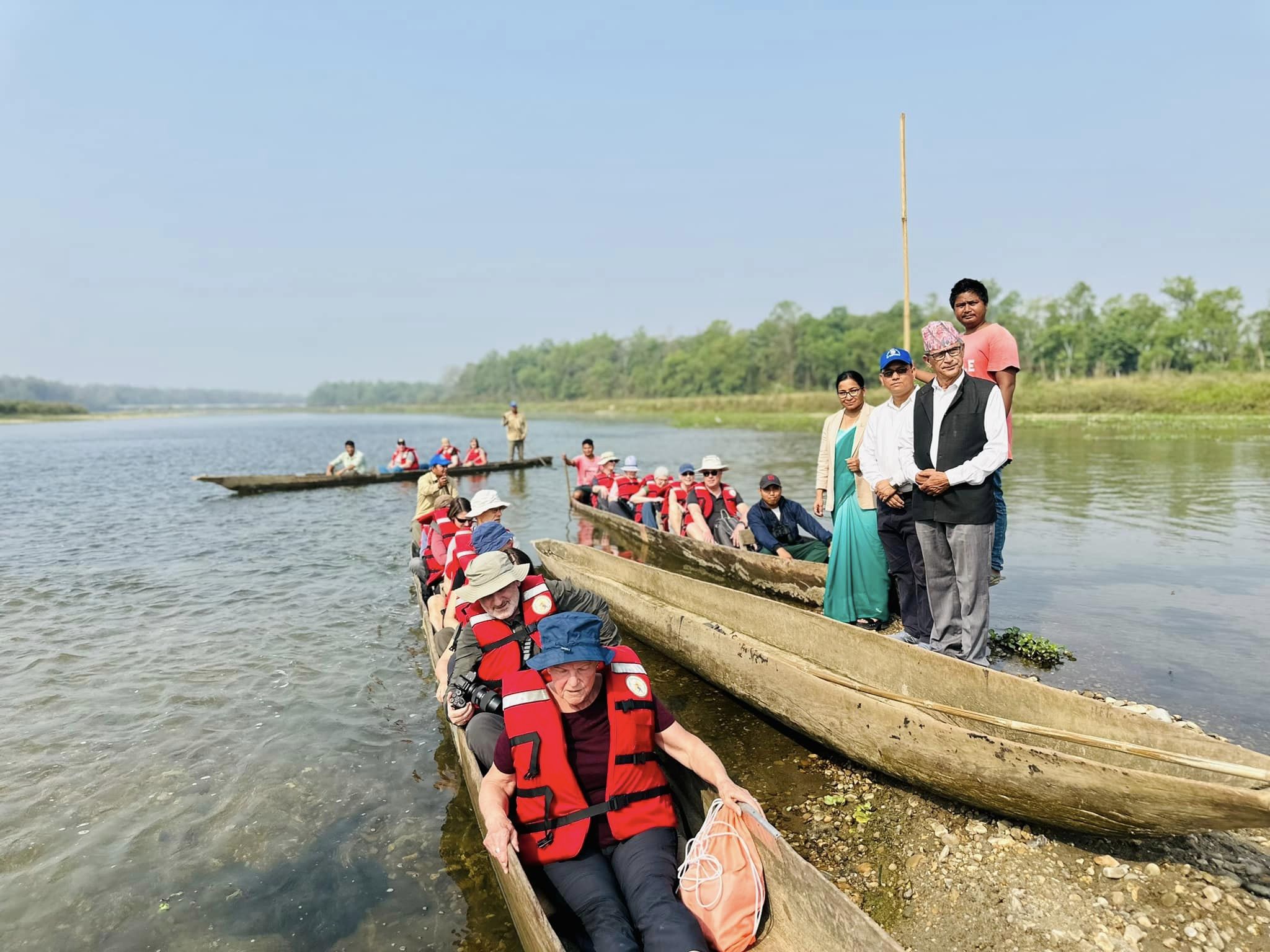 Efforts to protect crocodiles