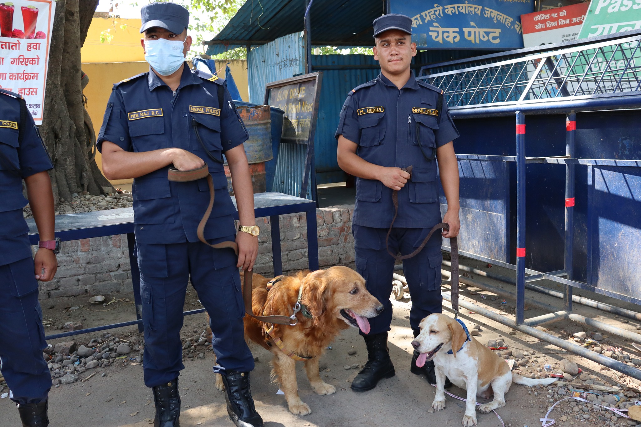 Drug detection by trained dogs