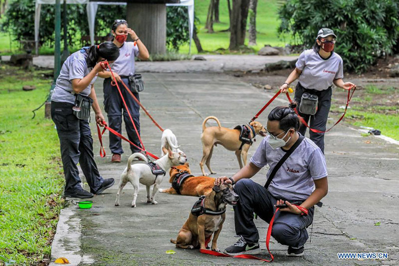 People train dogs at UP Campus in Manila, the Philippines