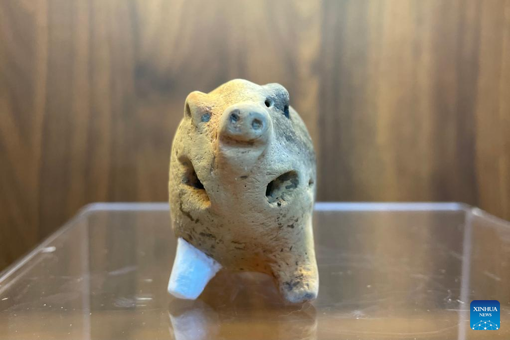 6,000-year-old pottery pig found in China