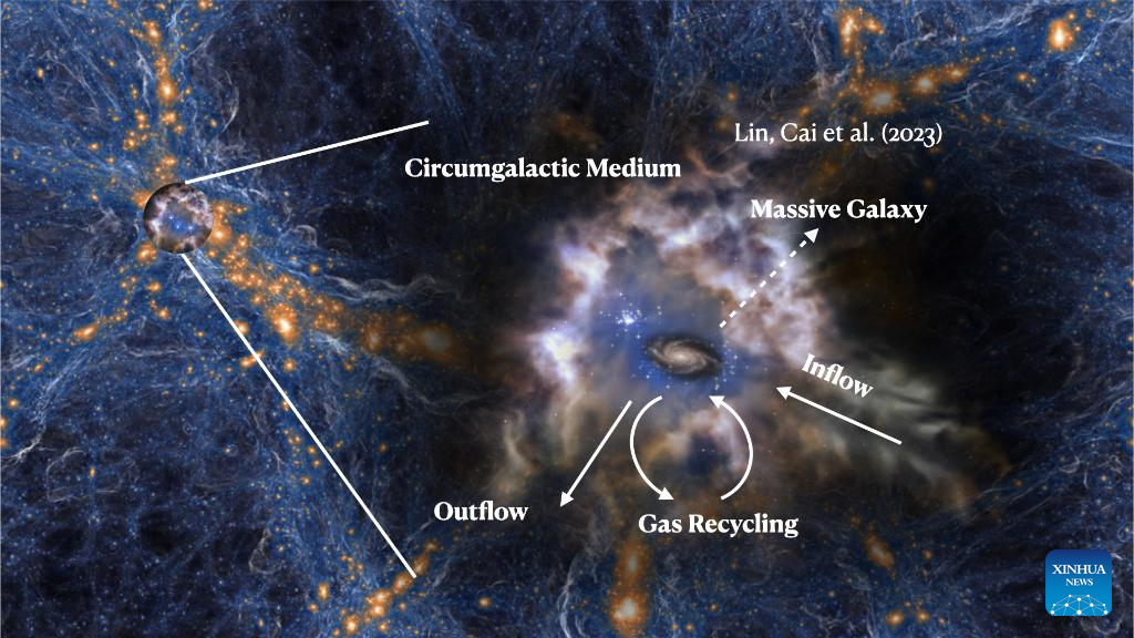 How massive galaxies form in early universe