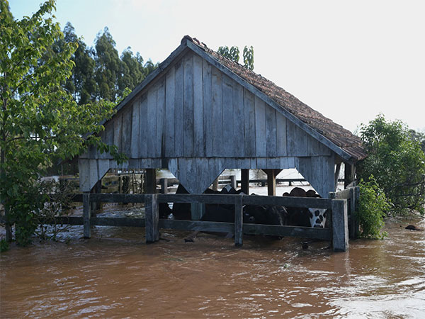 Cyclone devastates southern Brazil