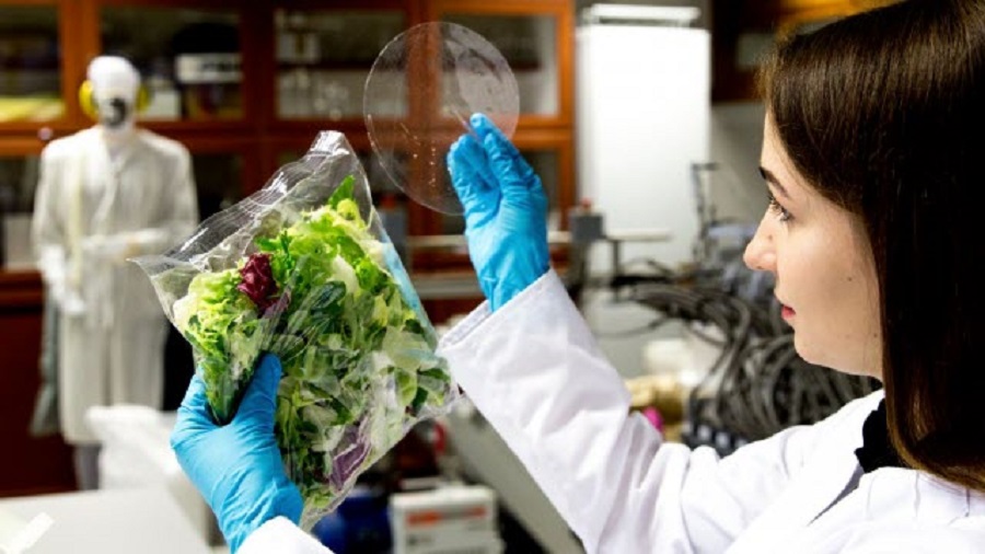 Develops biodegradable film that keeps food fresh for longer