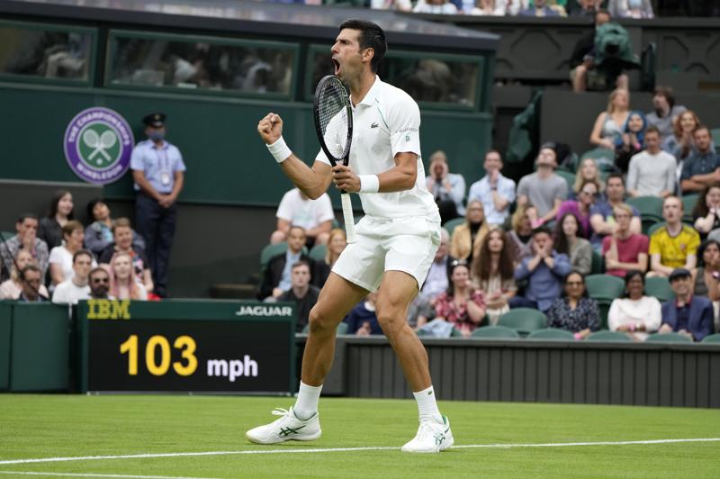 Djokovic vs. Anderson in Wimbledon final rematch