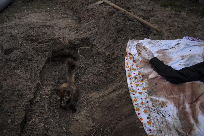 More than 900 civilian bodies found in Kyiv region