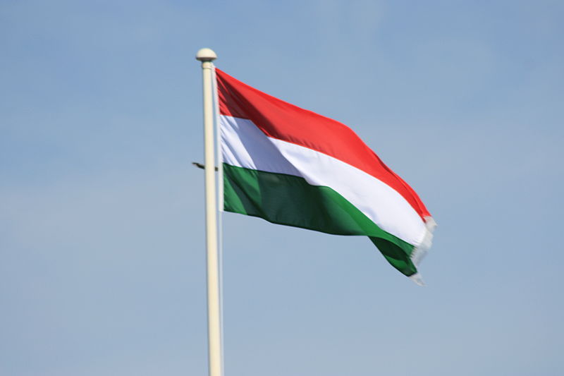 Hungarian cafe mulls civil disobedience to avoid bankruptcy