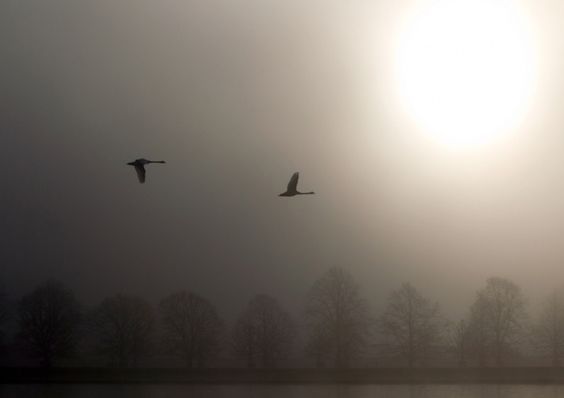 Call to remain alert for hazy & smoggy weather