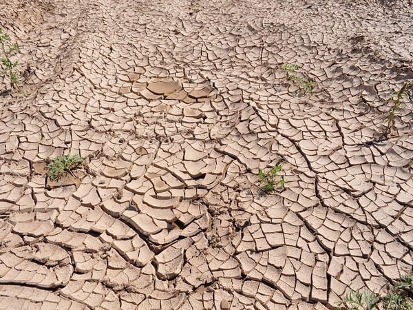 China’s drought threatens raise in carbon taxes