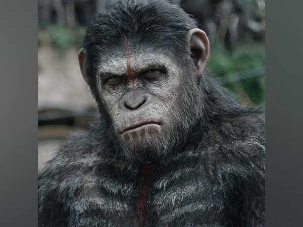 ‘Planet of the Apes’ new film first look out