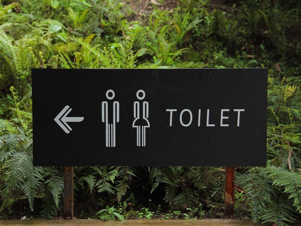 World Toilet Day 2022: All you need to know