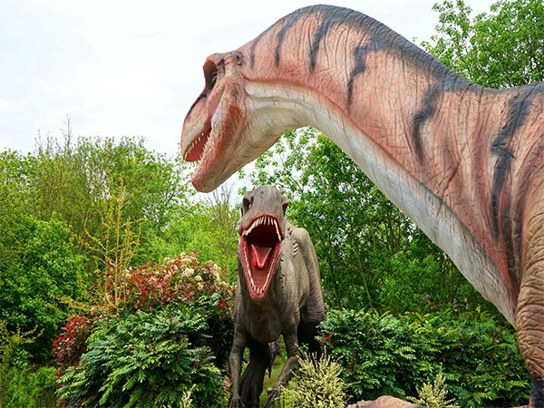 Discovery of new dinosaur teeth reveal