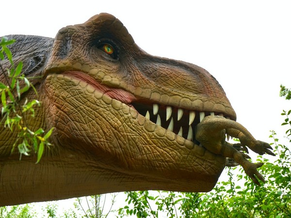 What all did dinosaurs like to eat from their teeth