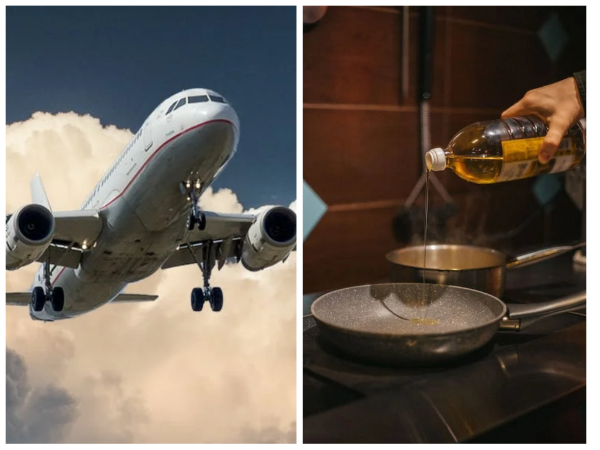 Aviation industry to rely on used cooking oil as fuel