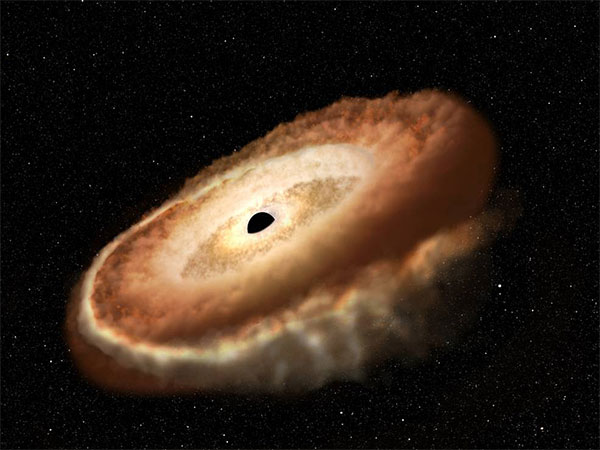 Black hole twisting captured star into donut shape