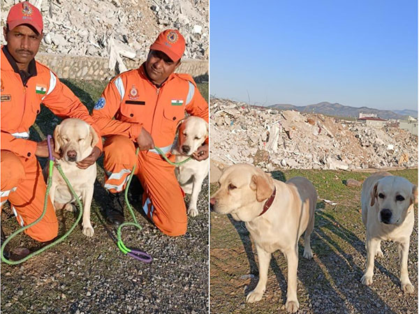 NDRF’s dog squad helps save 6-year-old in quake-hit Turkey