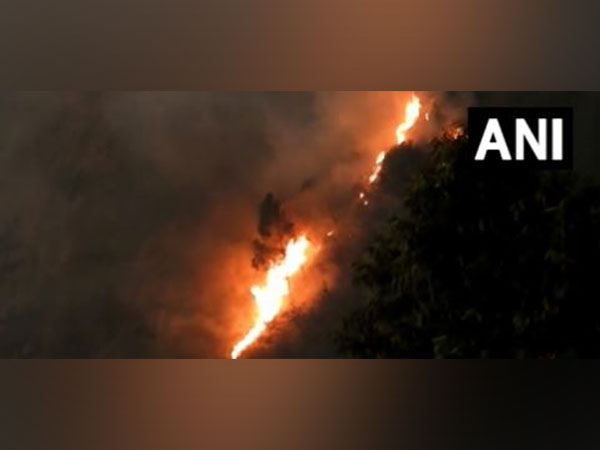 Forest fire breaks out near Kodaikanal hills