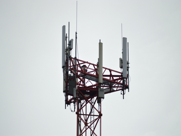 Telecom regulator asks operators to report network