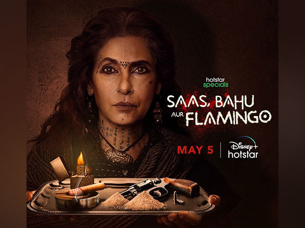 Web series ‘Saas Bahu aur Flamingo’ teaser out