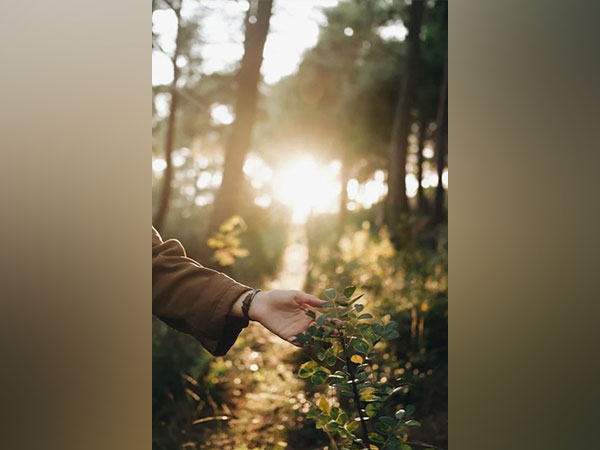 Study finds that plants can detect touch