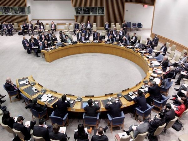 5 nations elected to UN Security Council