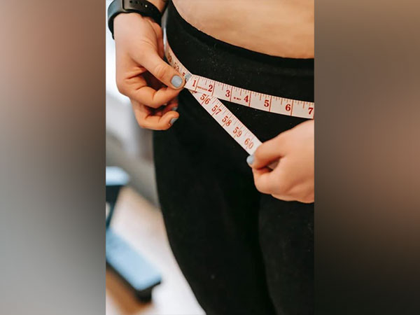 Diet tracking key for weight loss