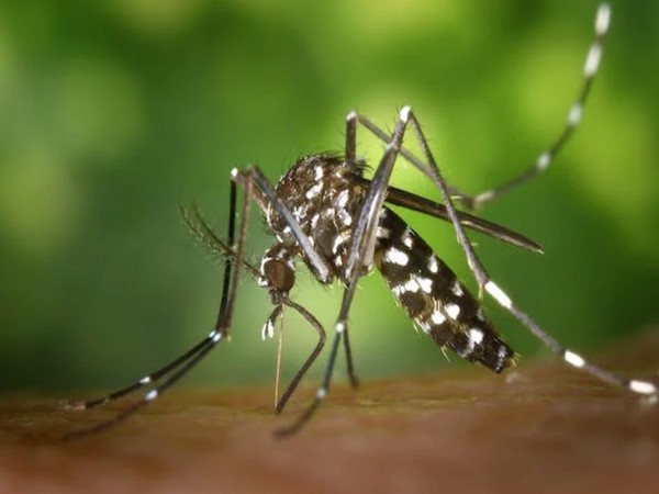 Molecular sensor enables malaria parasite harm