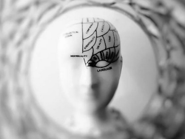 Brain waves can predict cognitive impairment in Parkinson’s disease