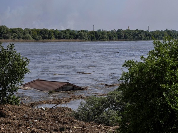 Odesa’s coastline turns into ‘garbage dump’