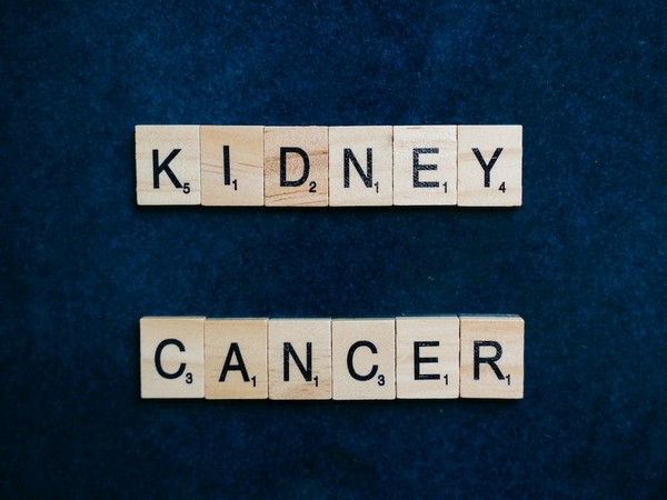 kidney cancer survivors are at risk for heart problems