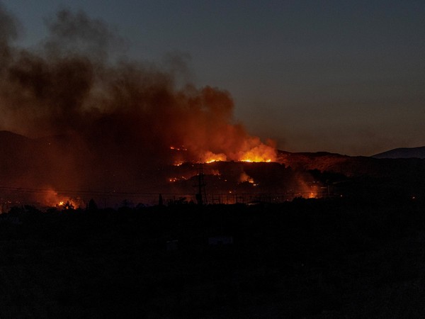 UAE stands in solidarity with Greece over wildfires