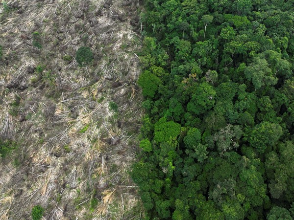 Amazon deforestation drops six-year low