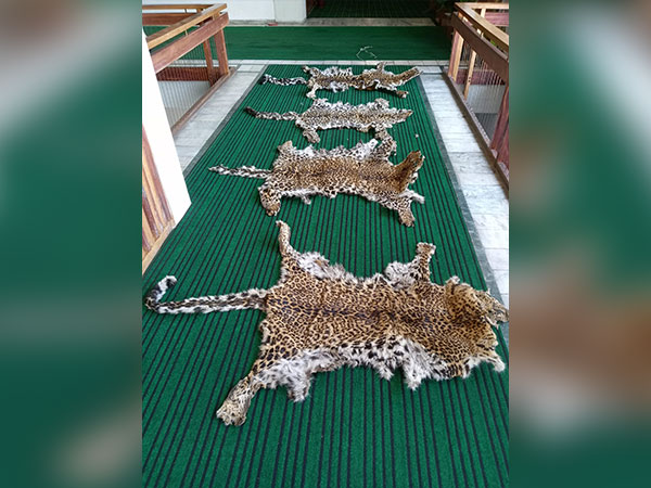 Eight arrested with four leopard skins in J-K’s Srinagar