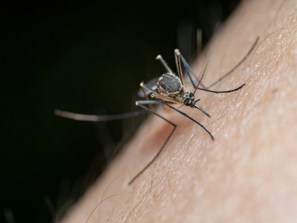 Uncovers ‘concerning’ defect in malaria diagnosis