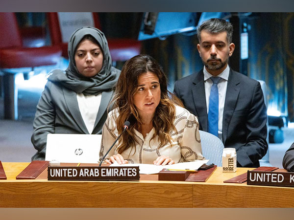 UAE welcomes preservation of UNIFIL’s independence in UN Security Council vote