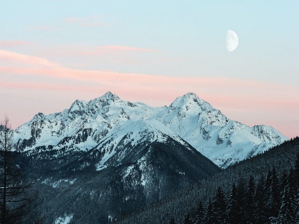 Climate change may permanently alter mountain forests